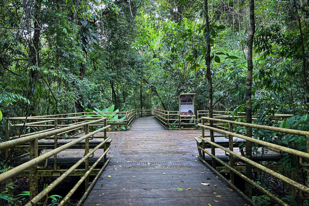 Senderos en Manuel Antonio