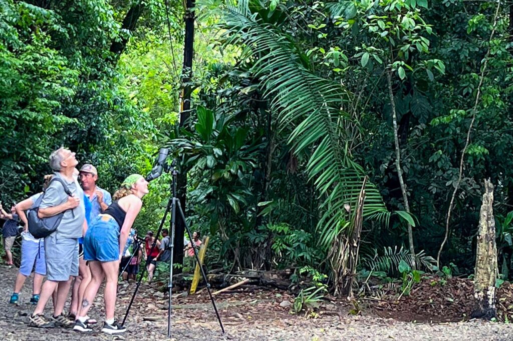 Turistas en Manuel Antonio